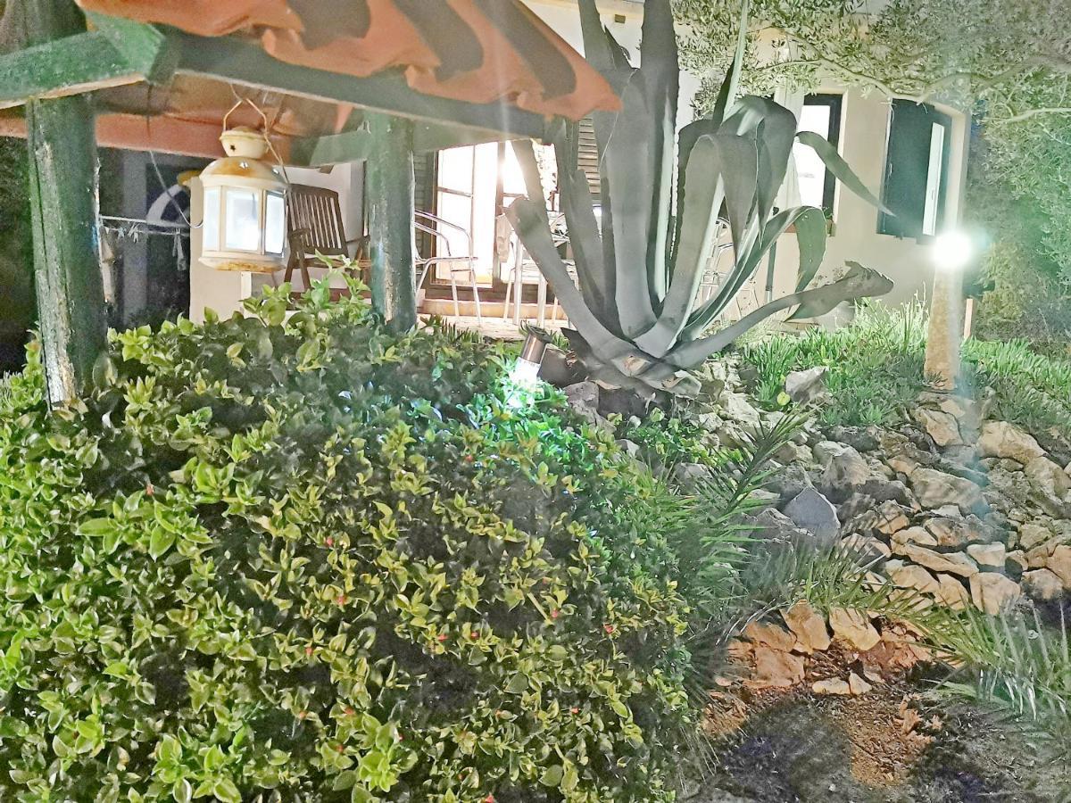 Apartmani Antonela&Andrej بريفلاكا المظهر الخارجي الصورة