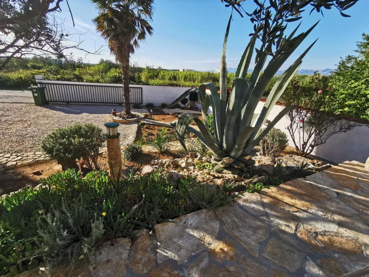 Apartmani Antonela&Andrej بريفلاكا المظهر الخارجي الصورة
