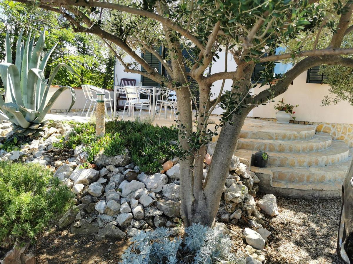 Apartmani Antonela&Andrej بريفلاكا المظهر الخارجي الصورة