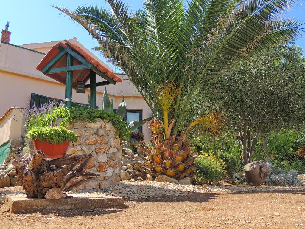 Apartmani Antonela&Andrej بريفلاكا المظهر الخارجي الصورة